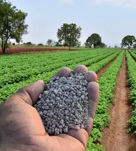 Fertiliser Saint-Gobain Formula