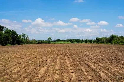 land reclamation