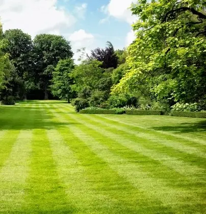 Soil treatment